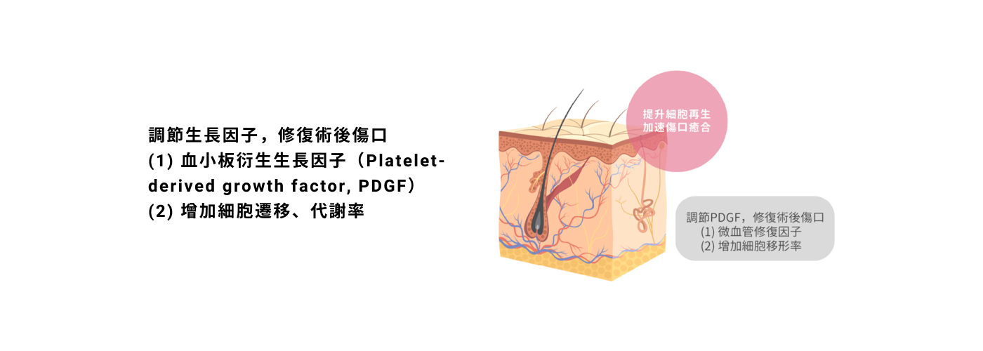 輪播圖片